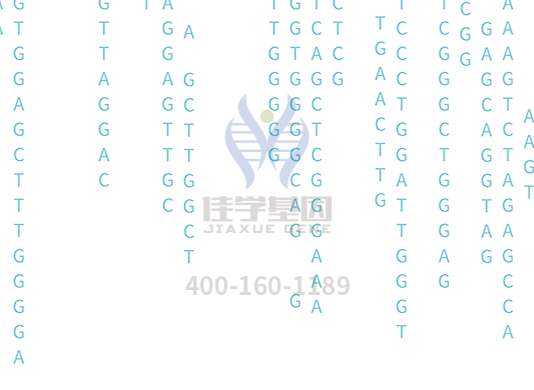 【royal皇家88基因检测】<font color='red'><font color='red'>庞贝</font>氏</font>症（Pompe disease)基因解码、基因检测