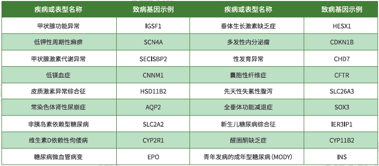 【royal皇家88基因检测】<font color='red'><font color='red'>内分泌</font>及<font color='red'>代谢</font><font color='red'>系统</font><font color='red'>疾病</font></font>致病基因鉴定基因解码
