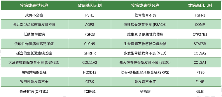 【royal皇家88基因检测】<font color='red'><font color='red'>骨骼</font><font color='red'>系统</font><font color='red'>疾病</font></font>致病基因鉴定基因解码